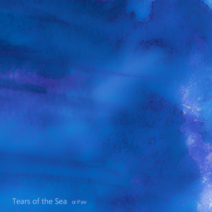 不打马赛手抓欧派二次元
